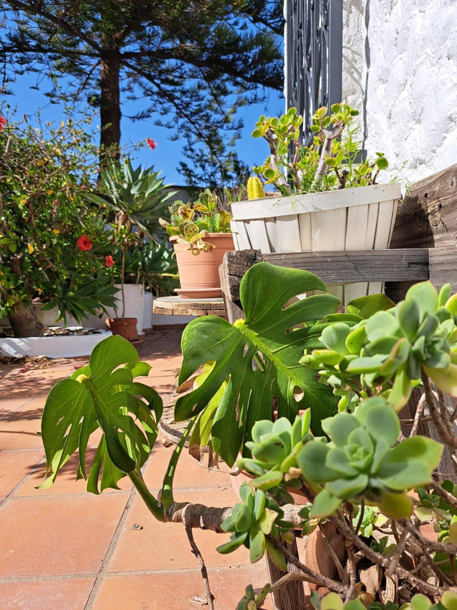 Casa Campo Mijas Costa Del Sol Μάλαγα Εξωτερικό φωτογραφία